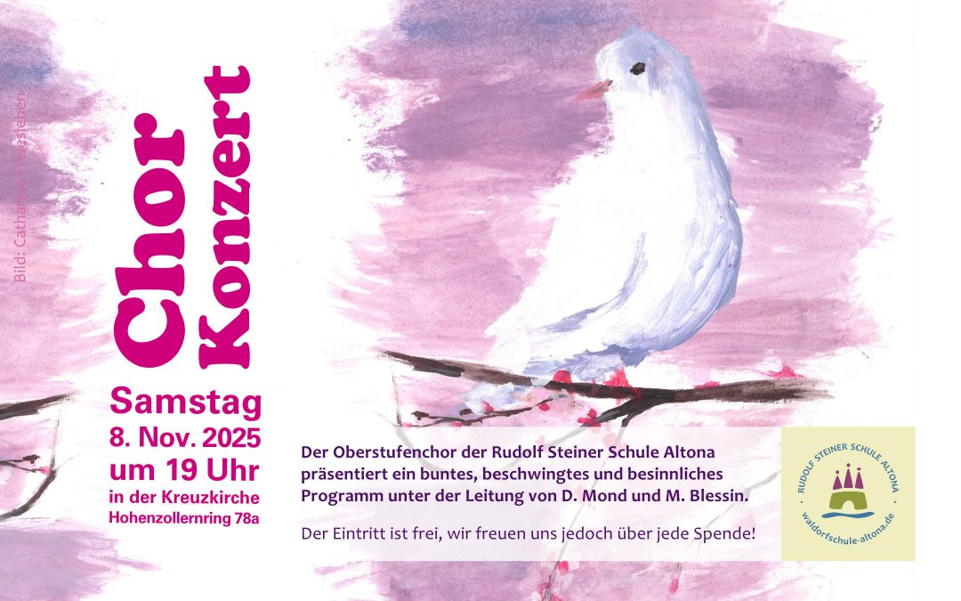 Der Oberstufenchor der Rudolf Steiner Schule Altona präsentiert ein buntes, beschwingtes und besinnliches Programm unter der Leitung von D. Mond und M. Blessin. 